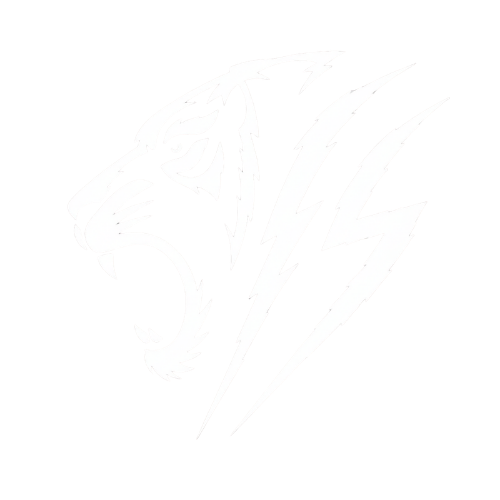 Earned Stripes